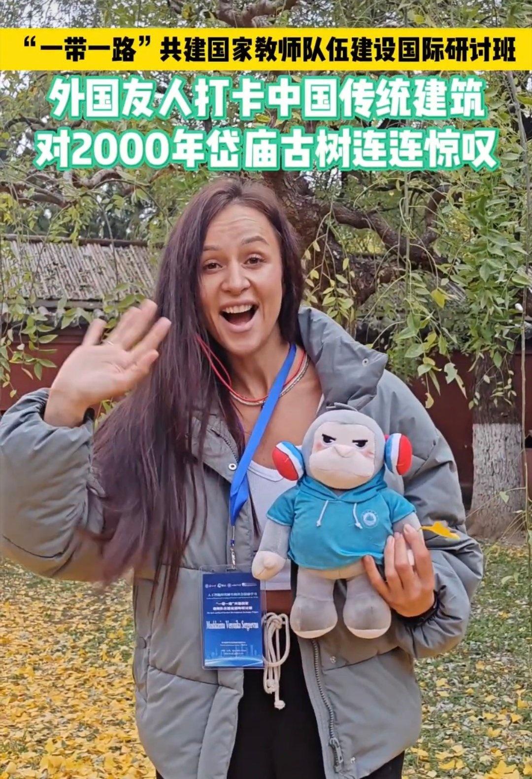 【山东岱庙给世界讲中国故事 】跟着泰山科技学院走进岱庙  岱庙汉柏撑着千年苍劲，