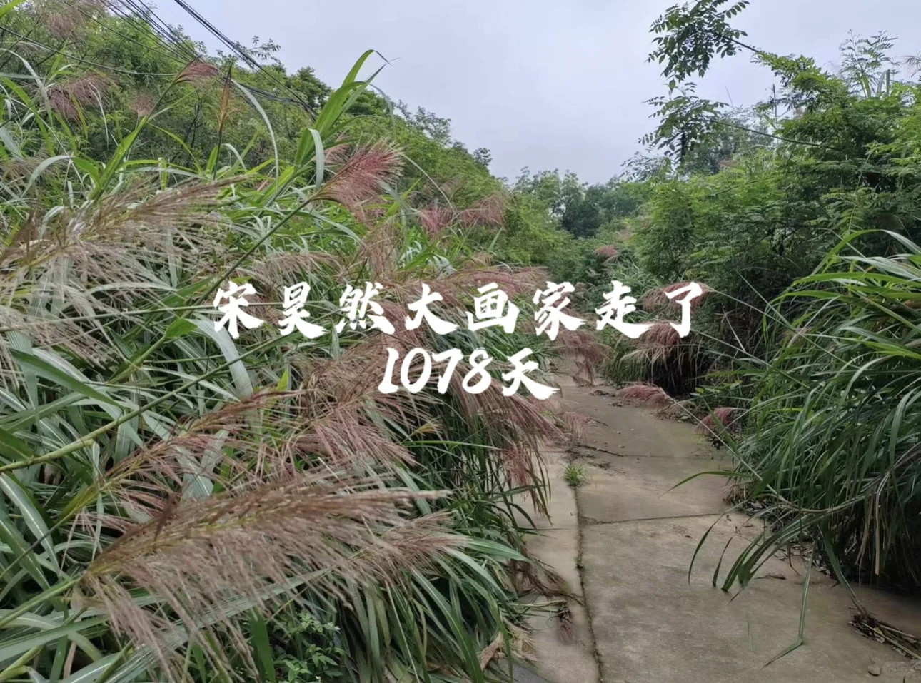 宋昊然大画家走了1078天