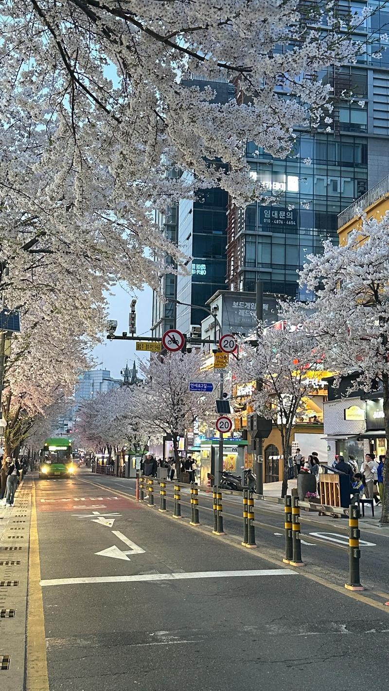 韩国无疑是世界少有的充满着高度凝聚力，长期奋发图强且创出卓越成就国家。
    