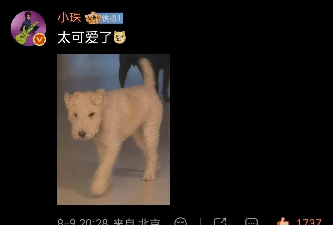 依旧[吐舌]