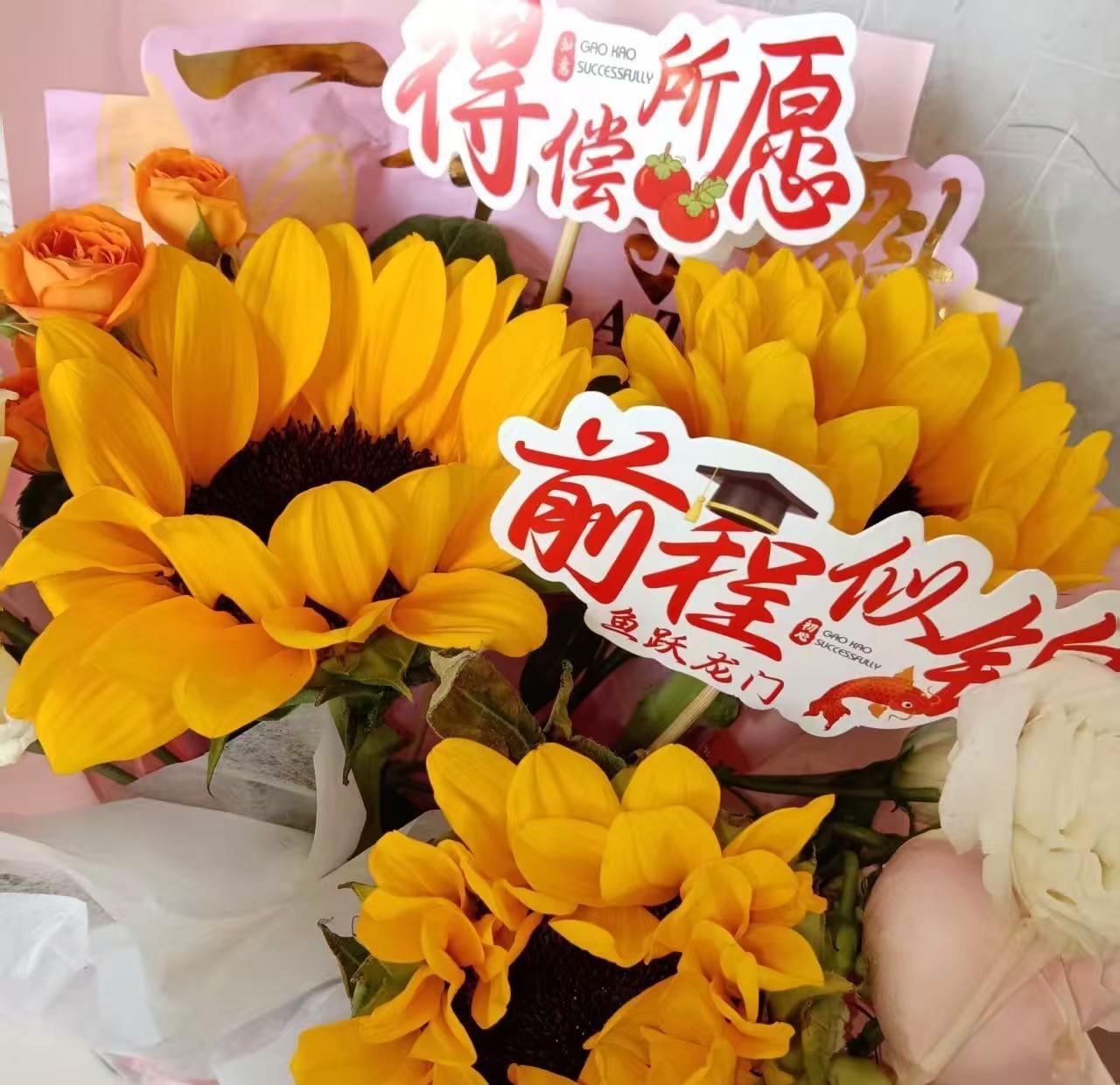 中考成绩出来了，尘埃落定，不是炫耀，而是高兴，未来可期，恭喜我的女孩通过人生的第