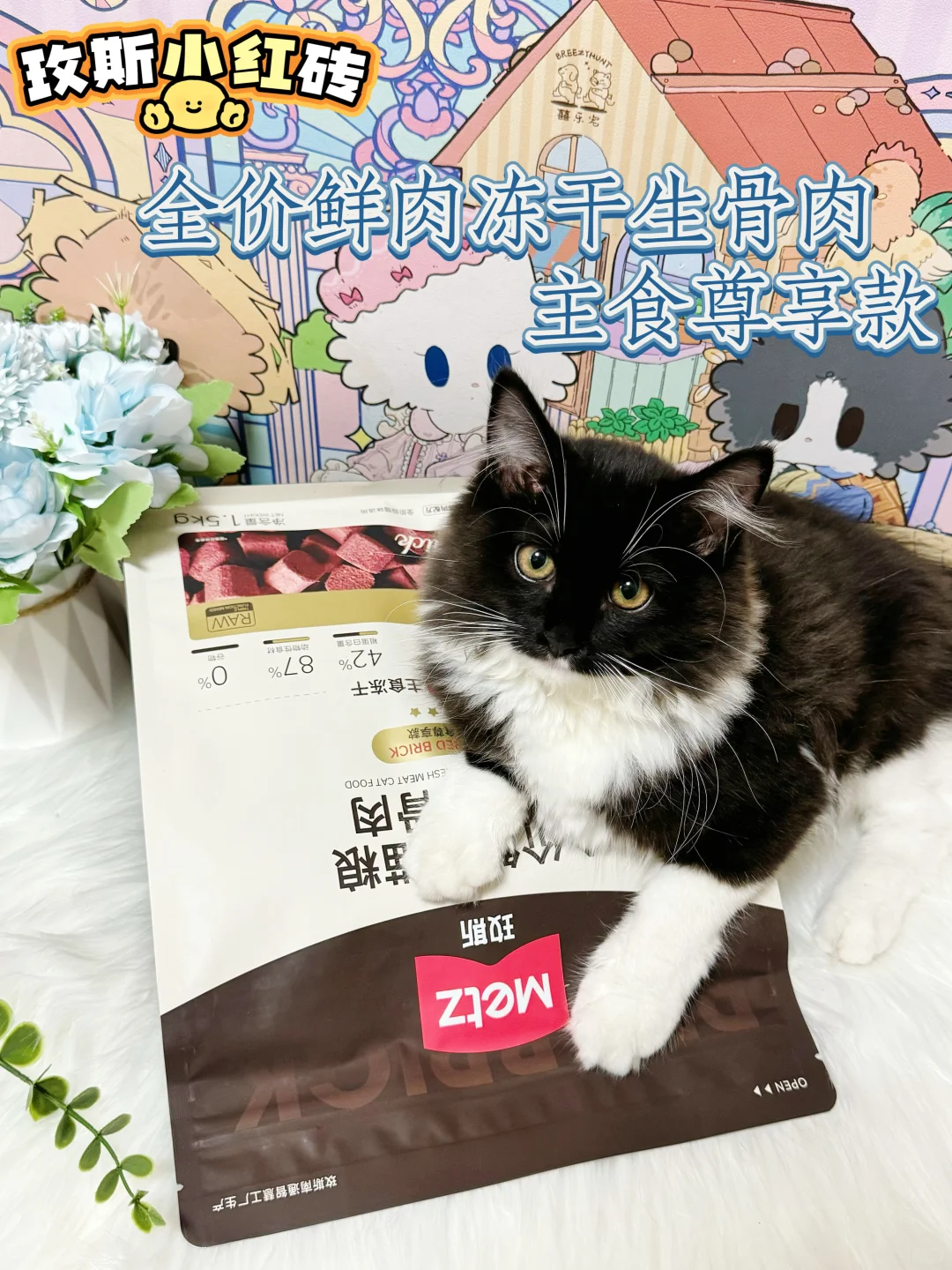 是STRONG小猫的天命粮吖🫰