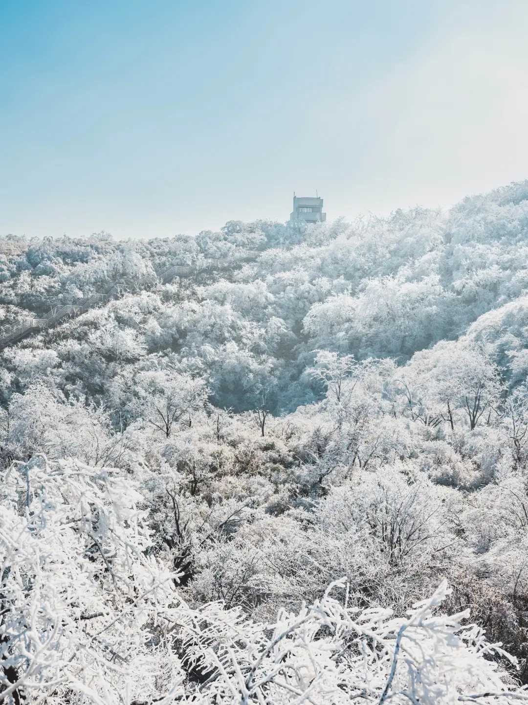 杭州一小时可达❗️鸬鸟山赏雪看雾凇