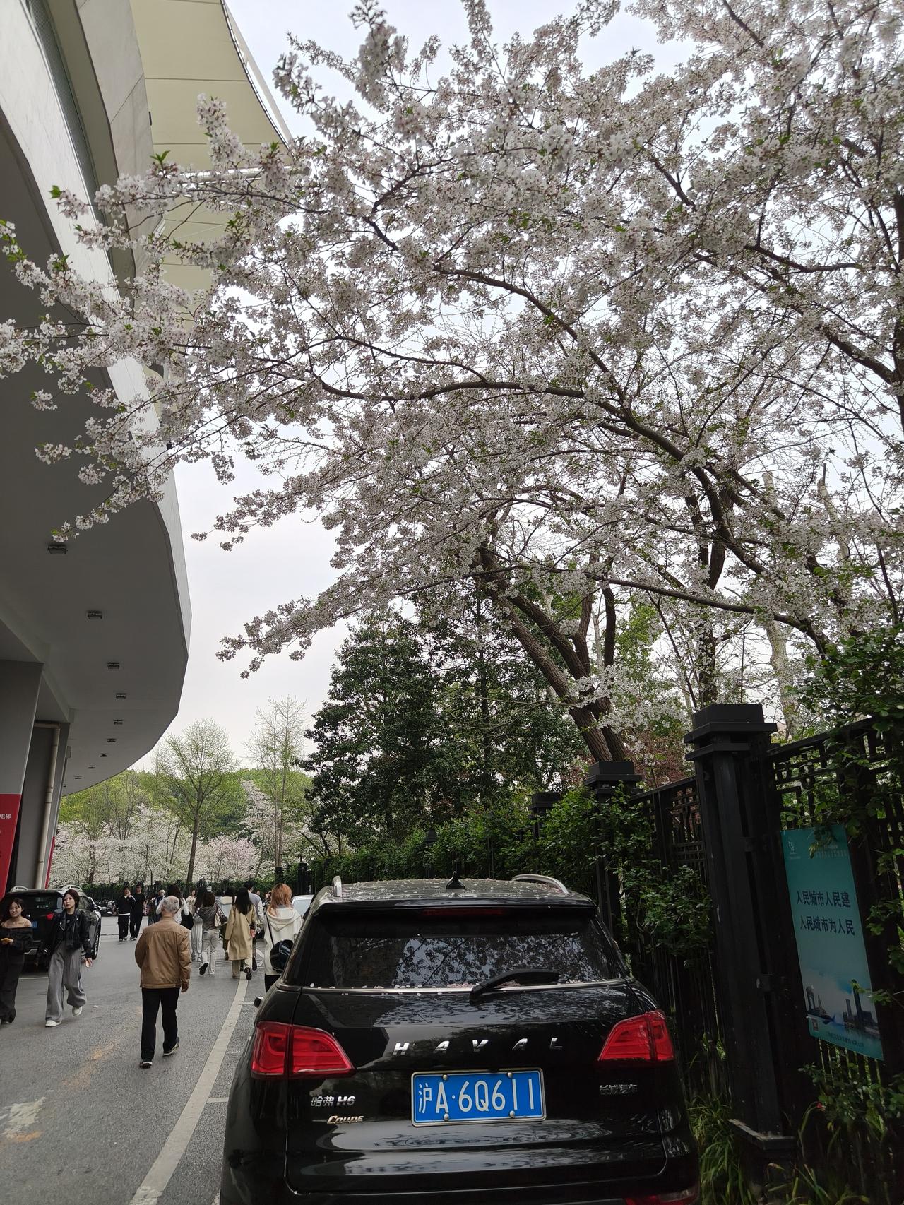 ☀️ ⌇🥳🌸✌︎😊✌︎𖠚ᐝ𓂃 𓂂𓈒𓏸生活拼的是心态，日子暖的是心