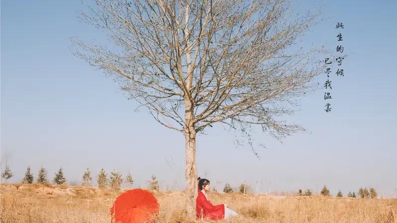 君生我未生，我生君已老。
君恨我生迟，我恨君生早。
恨不生同时，日日与君好。
隔