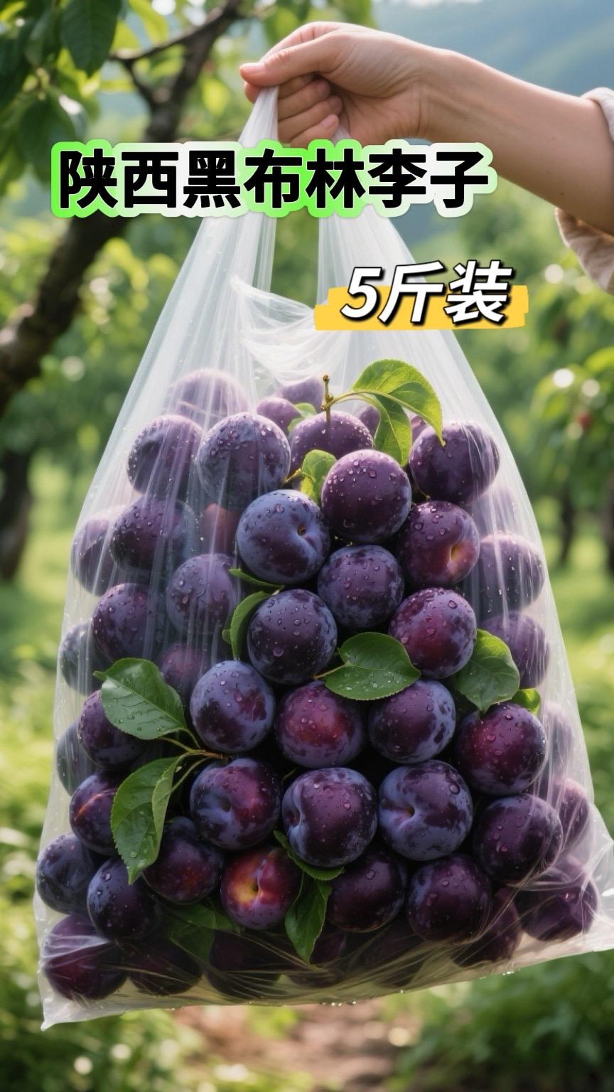 心心念念的陕西黑布林李子来啦！紫黑外皮裹着金黄果肉，咬一口嘎嘣脆，清甜...