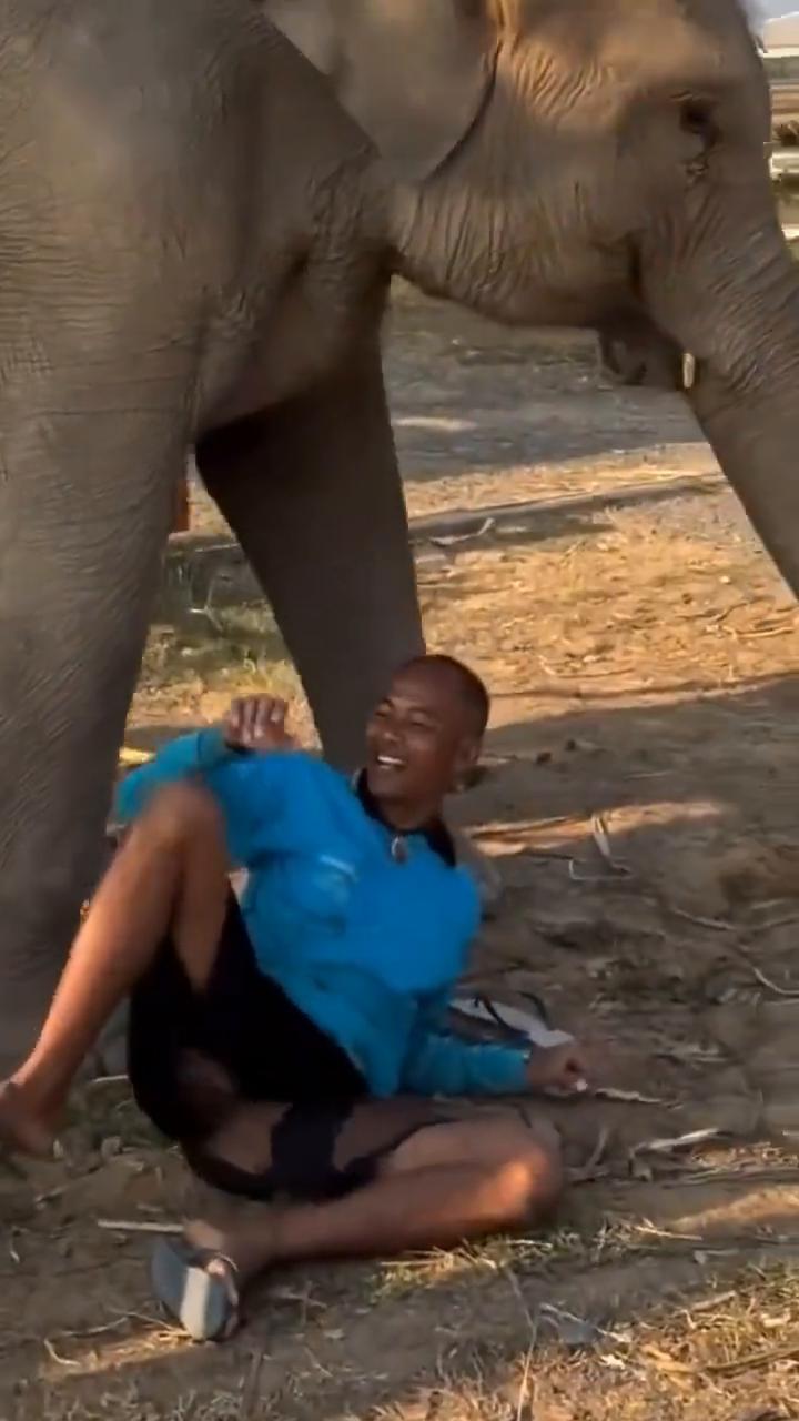 Dadi&Sidi en Thailande。
Getting kissed i