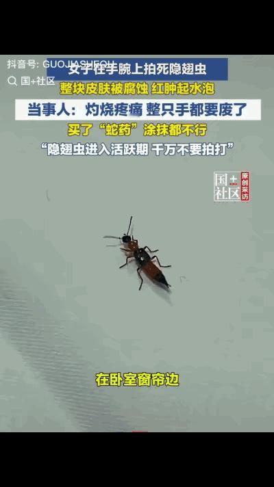 浙江义乌，一名女子在卧室窗帘边休息时，手腕突然传来一阵轻微瘙痒。她瞥见一只小虫落