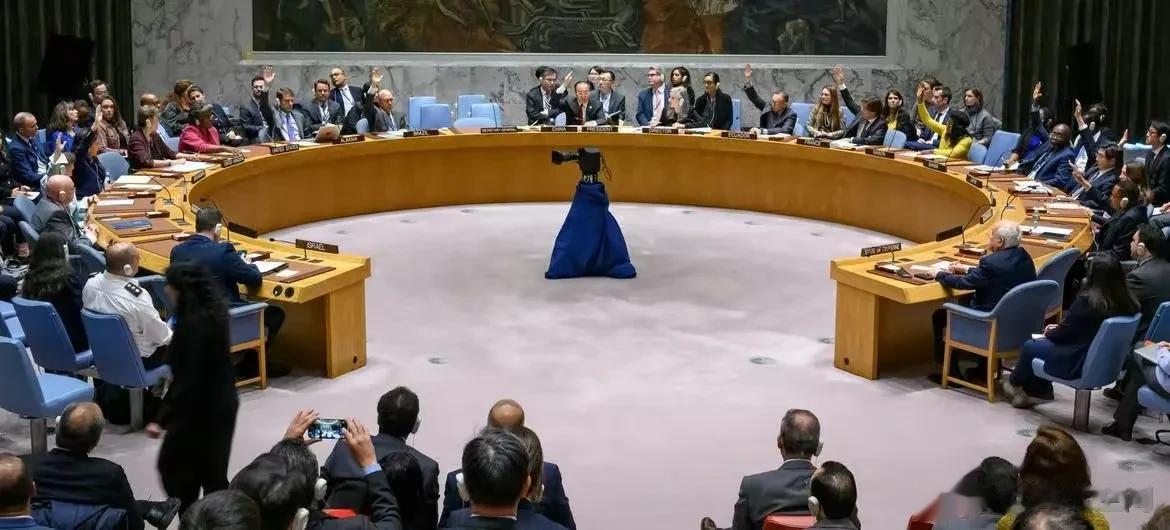加沙挺住！联合国安理会投票通过对加沙进行人道主义救援。
11月15日，合国安理会