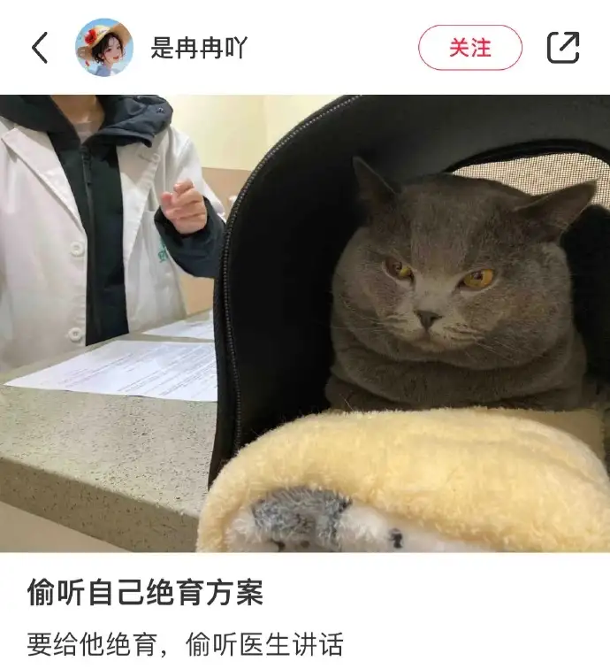 <img src=