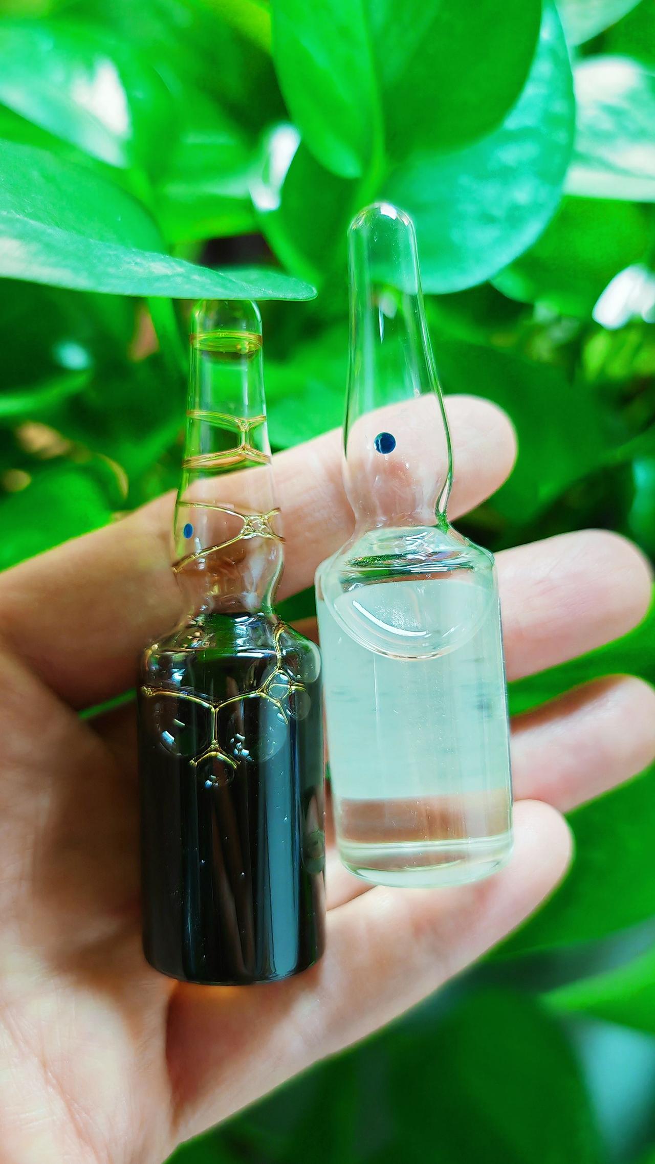 养羊人 农村养羊