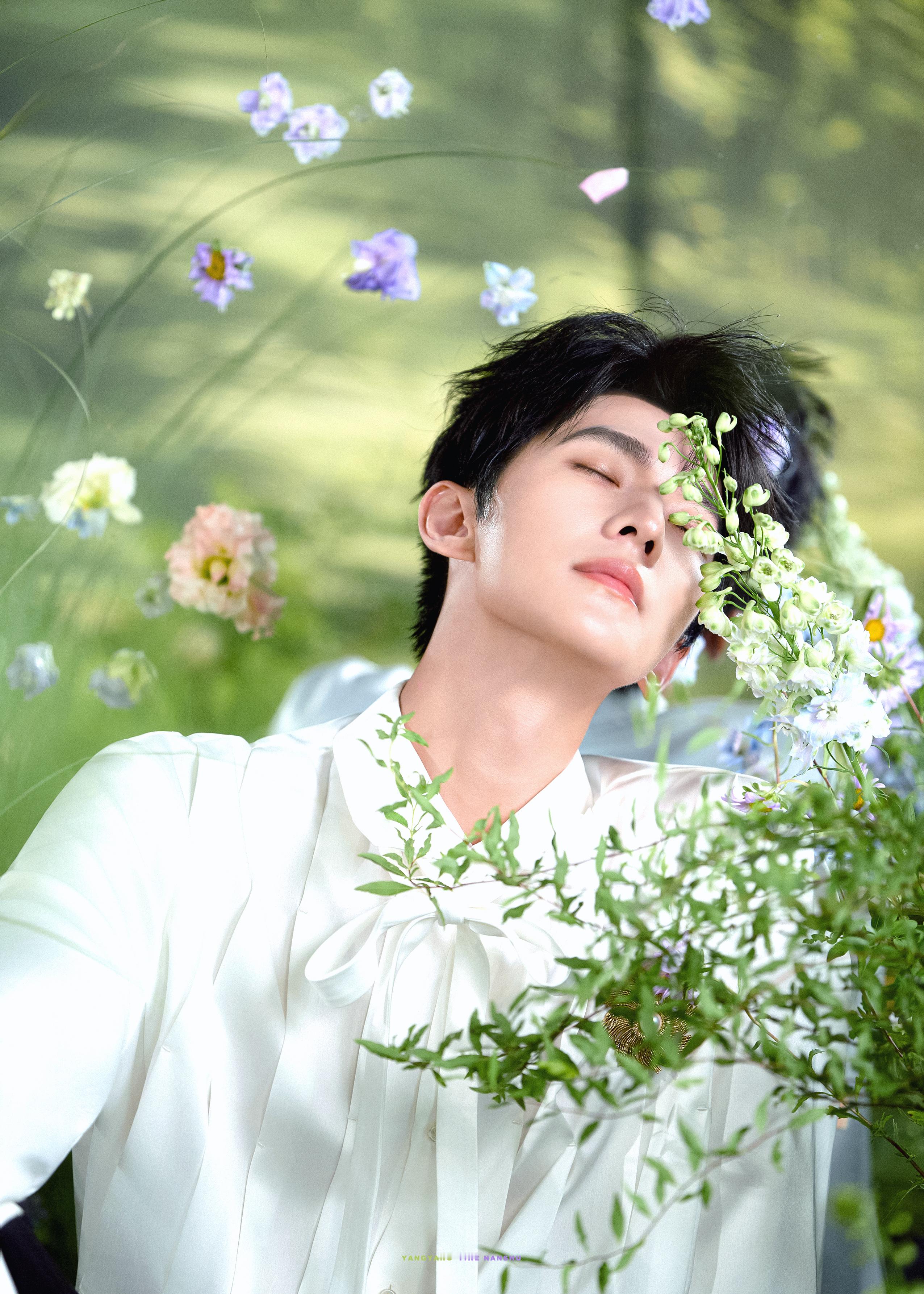 杨洋🍃💫💐 ​​​
