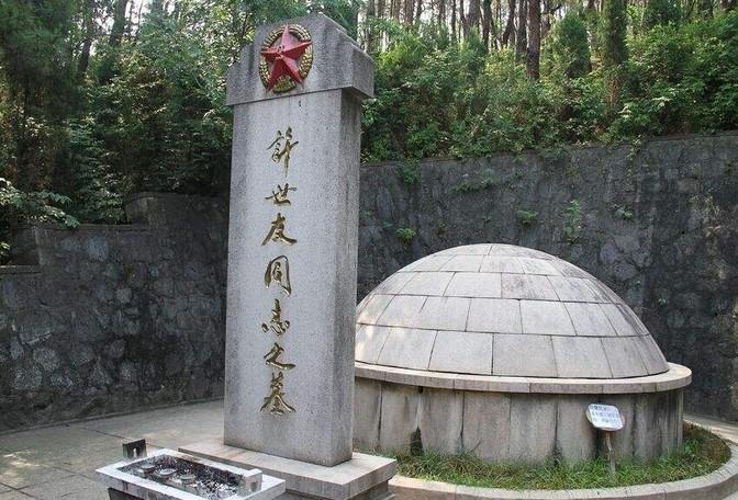 85年许世友逝世，向守志不肯在悼文上署名，聂凤智怒：你对谁有意见！
1985年的