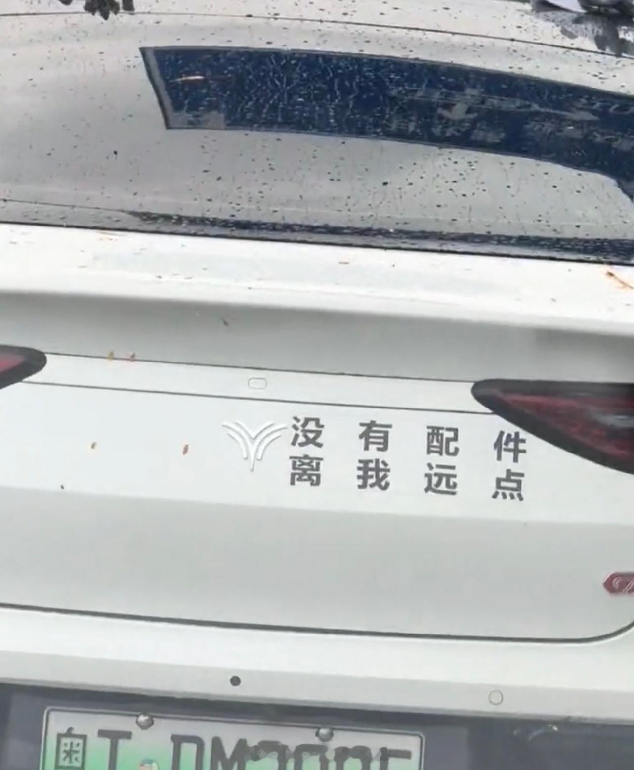 论一位合格的新势力车主的自我修养！！[二哈][二哈][二哈]哪吒汽车被申请破产 