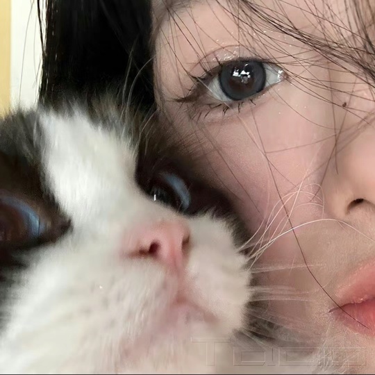 阿迪请等迪啊