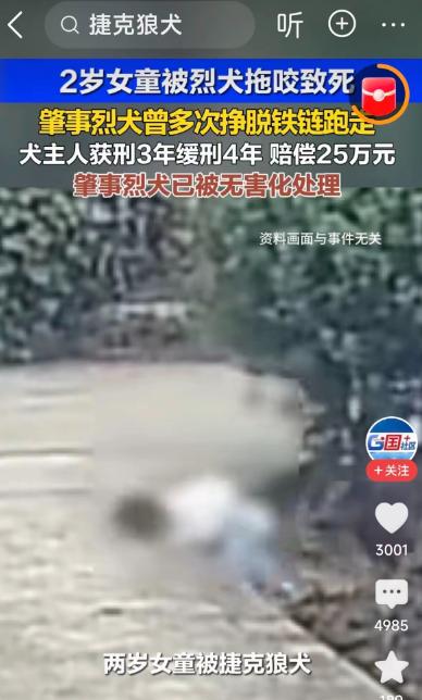 北京大爷毒狗被狗主人告进了监狱，判刑4年，河南2岁女童被烈犬拖咬致死，犬主人获刑