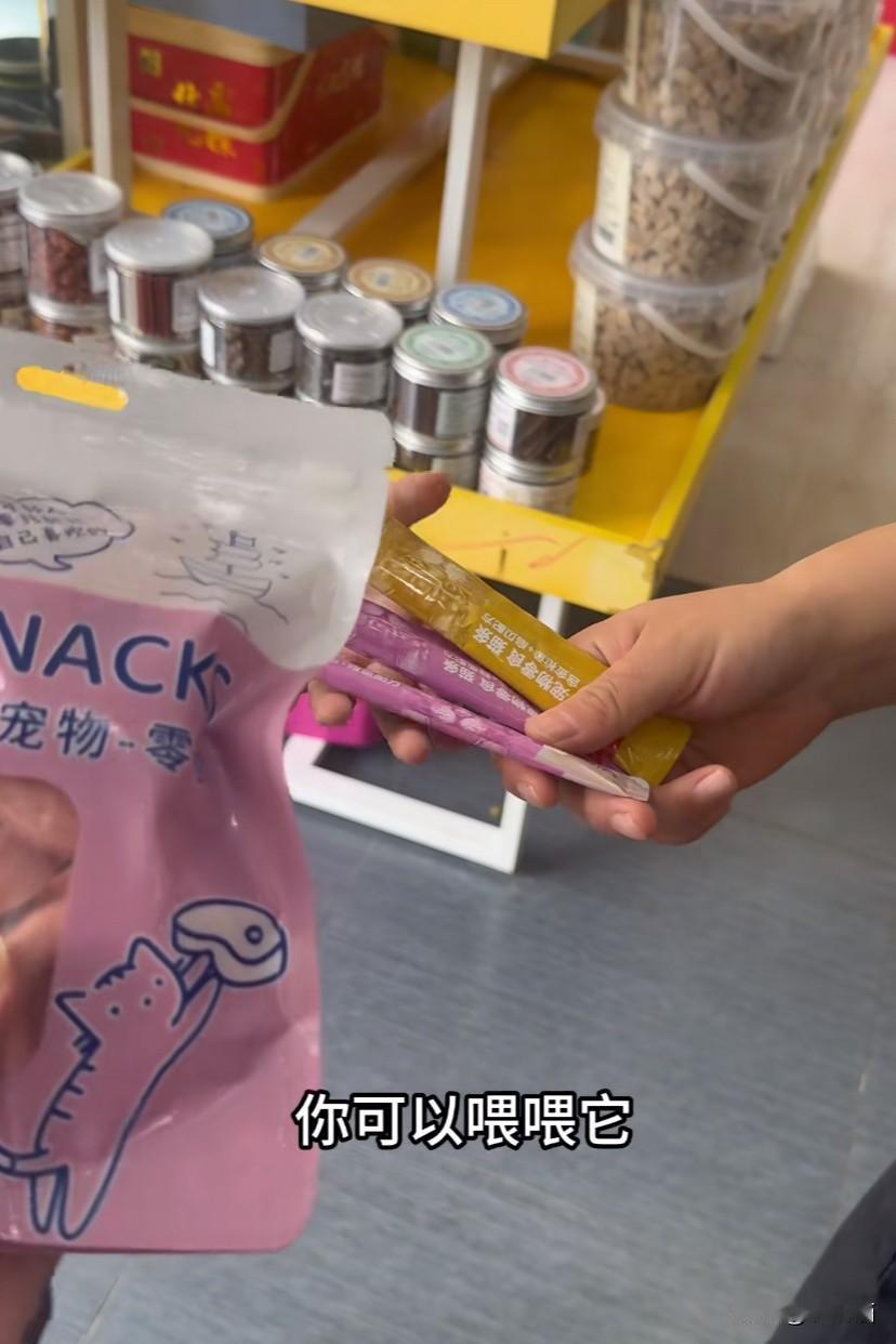 河北定州，小女孩舍不得花钱买零食，却攒下钱给流浪猫买猫粮，店主得知详情不收钱，小