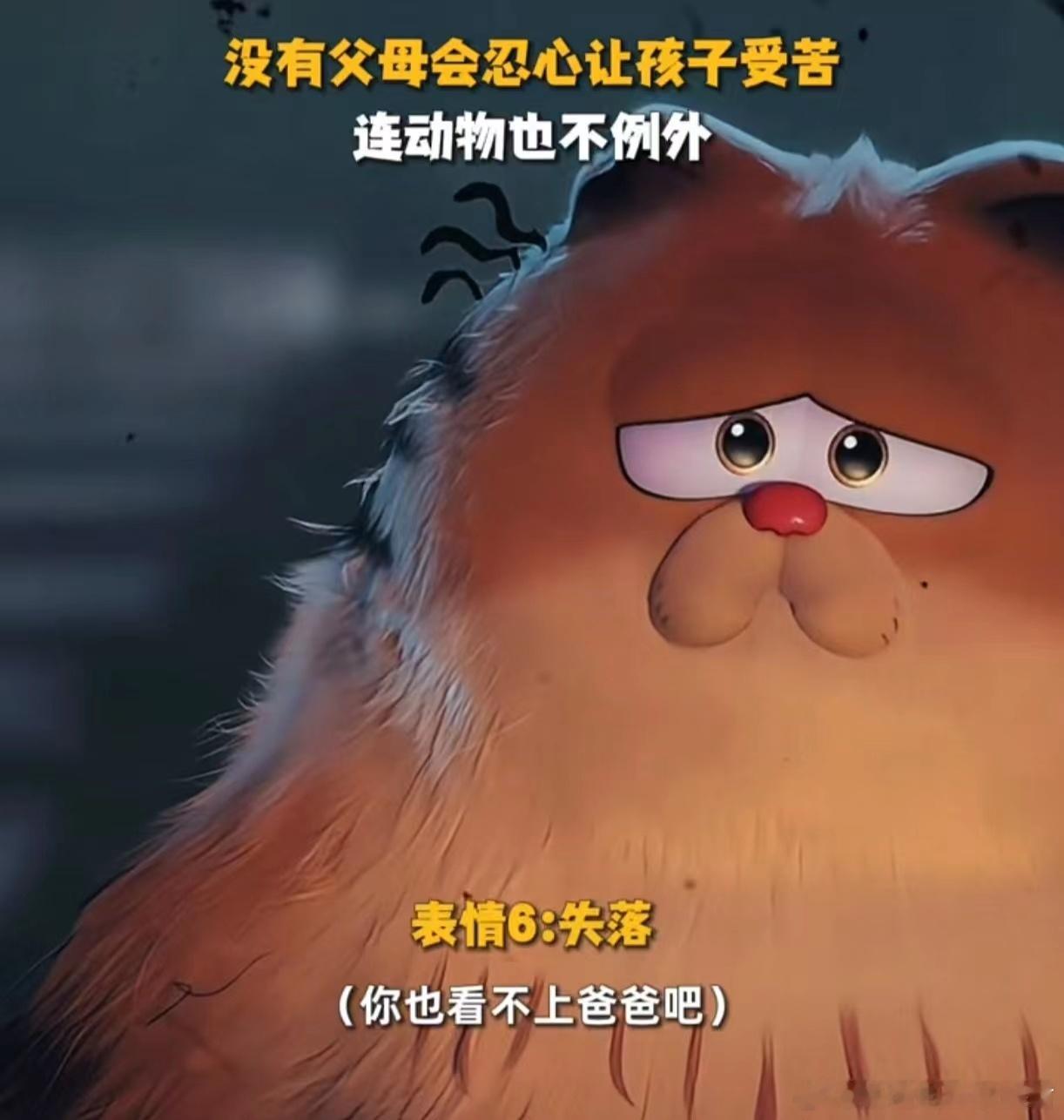 #加菲猫 杀我别用小猫刀#电影中加菲猫的可爱与机智，让我更加珍惜家中那个默默陪伴