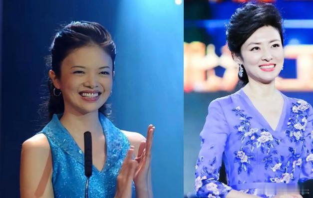 其实央视综艺频道曾经还有不少很火的女主持人，也曾红极一时，算是阶段性的当家花旦，