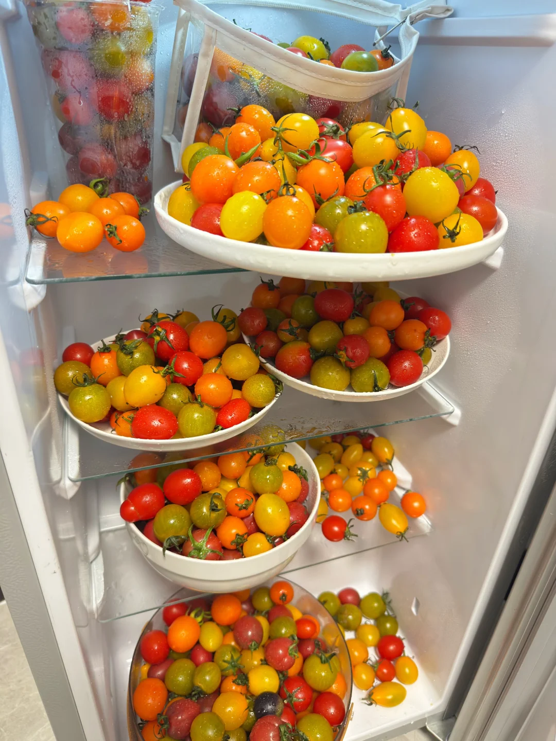 9块9一箱还给你发多色小番茄，老板人傻钱多！