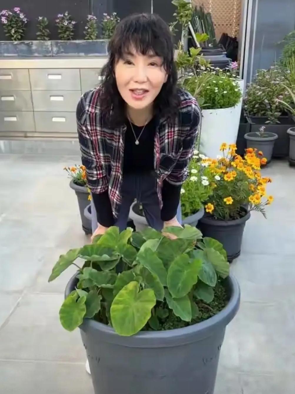 61岁张曼玉：从影后到烟火日常，松弛感拉满

近日，张曼玉上热搜，不是走红毯，也