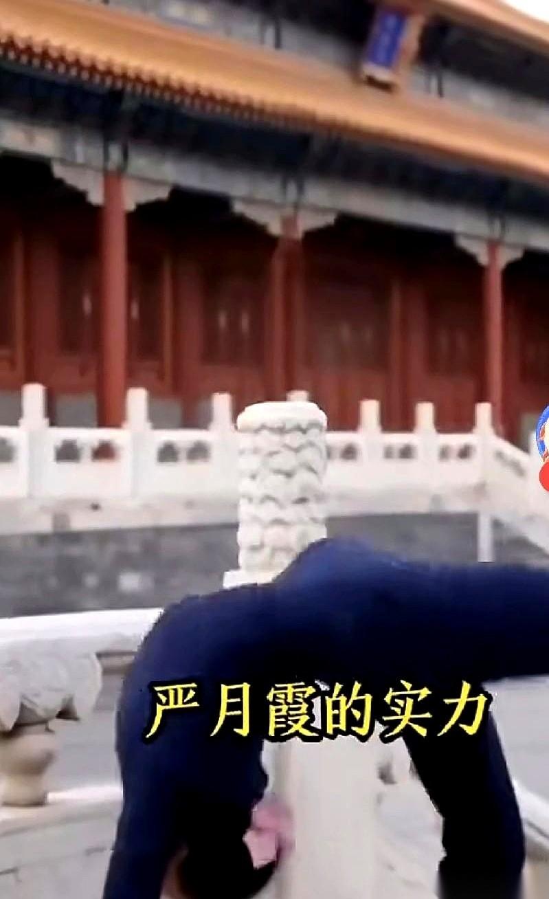 都说郑丽文身边那个叫闫月霞的女保镖，功夫深不可测。
但没人见过。直到一次，人群里