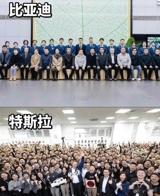 如果是你，这两类公司让你选择，你会怎么选？
首先这几家公司都是高科技企业，用人要