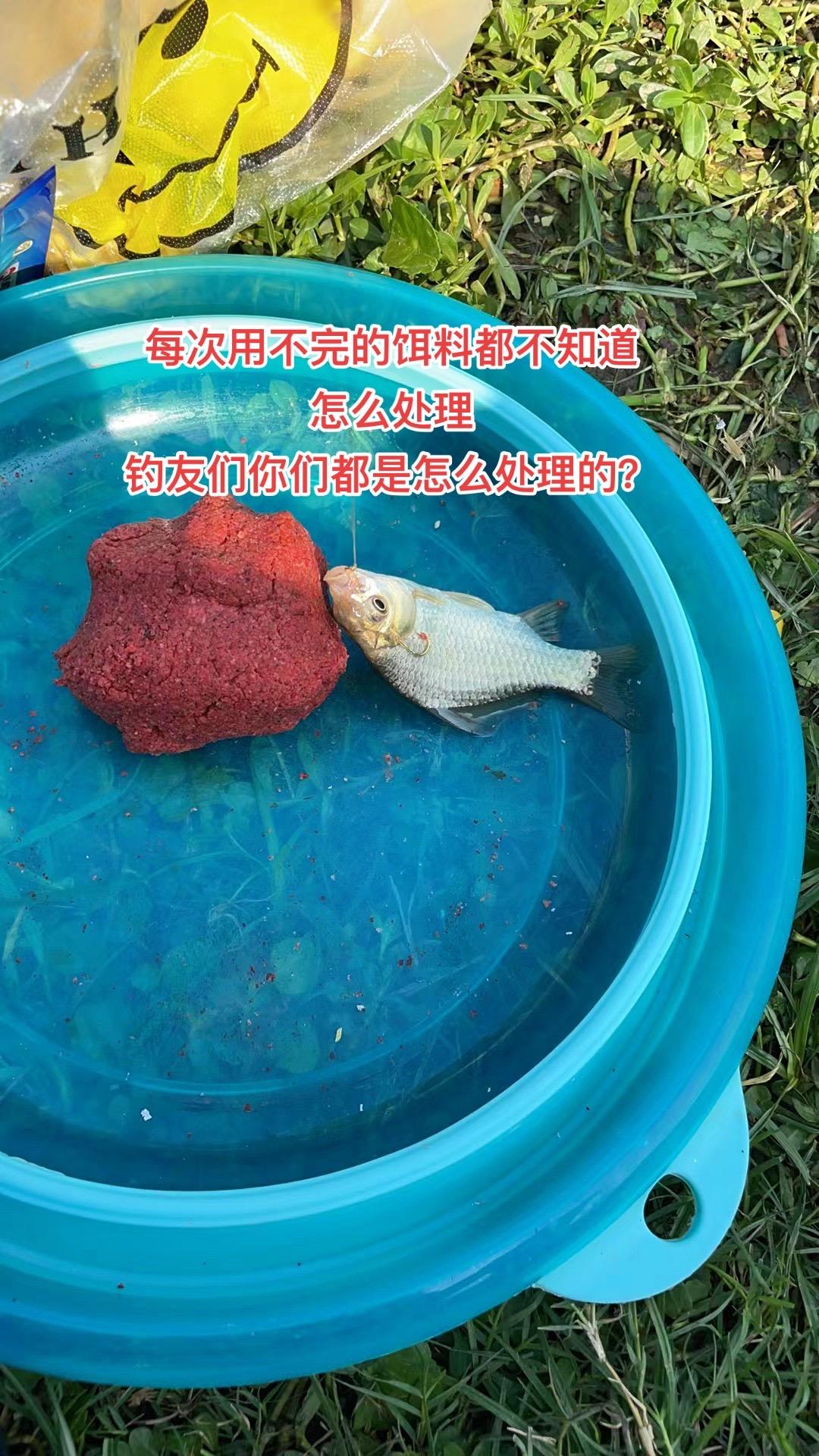 钓友们，用不完的饵料你们都是怎么处理的？