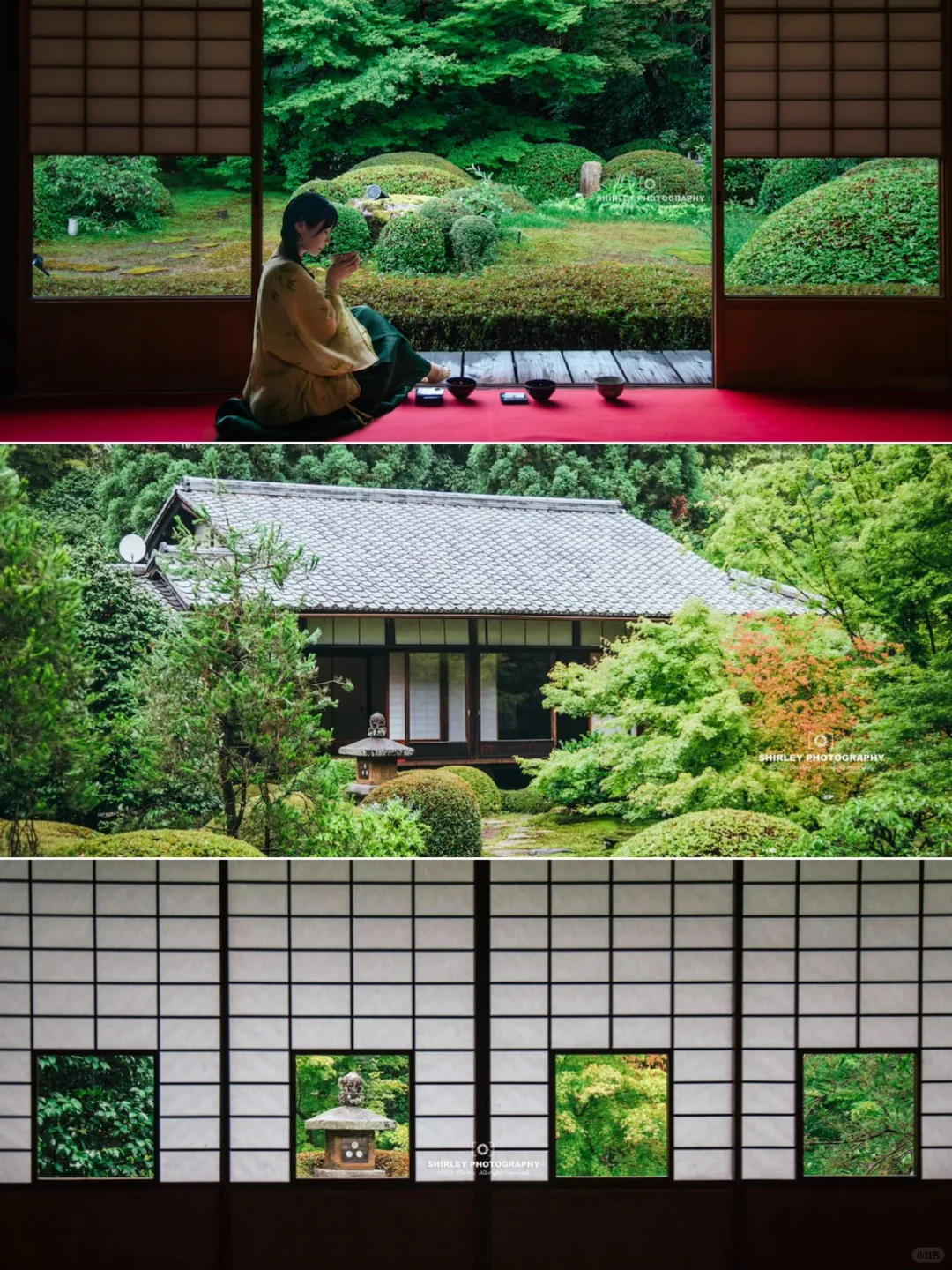 远离人群🎋在京都挖到一座冷门又惊艳的庭院