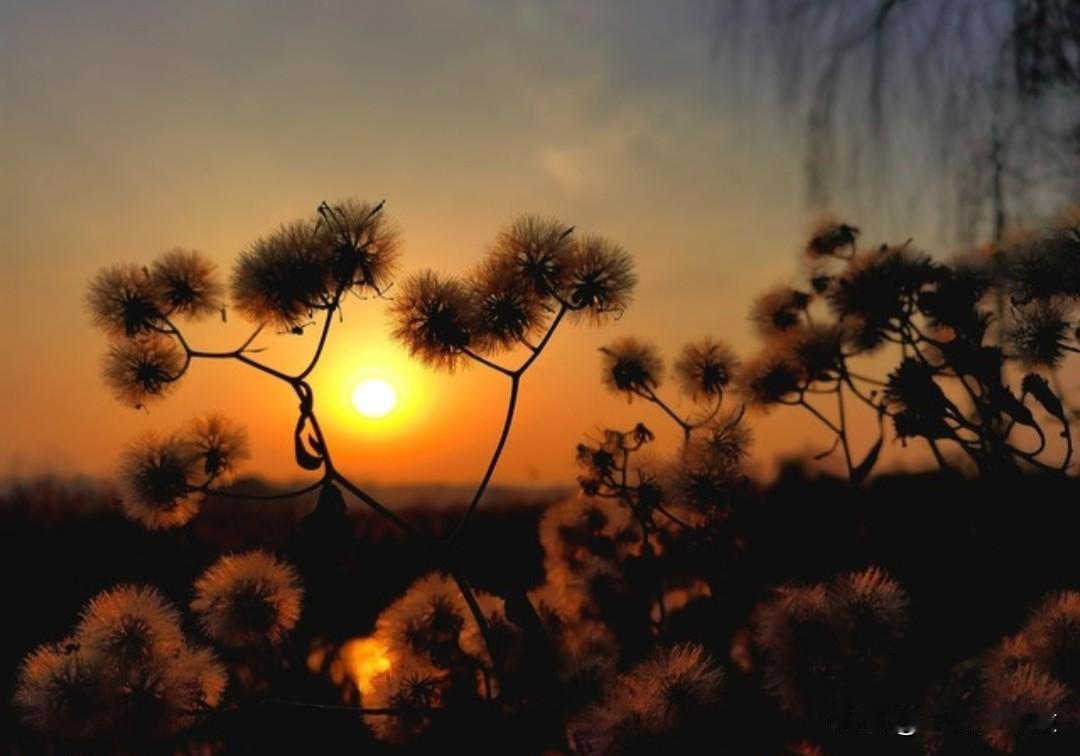 当一滴无瑕的水滴滑落在某一根琴弦之上，无意间就弹奏出一曲莫名的伤感，这种感觉就像