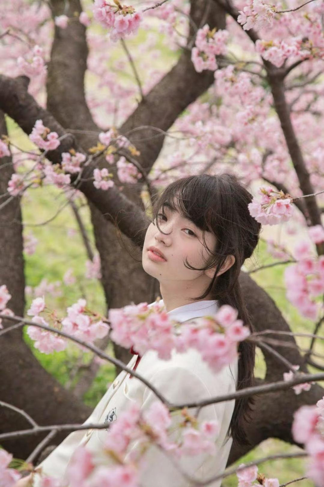春天樱花和nana.
