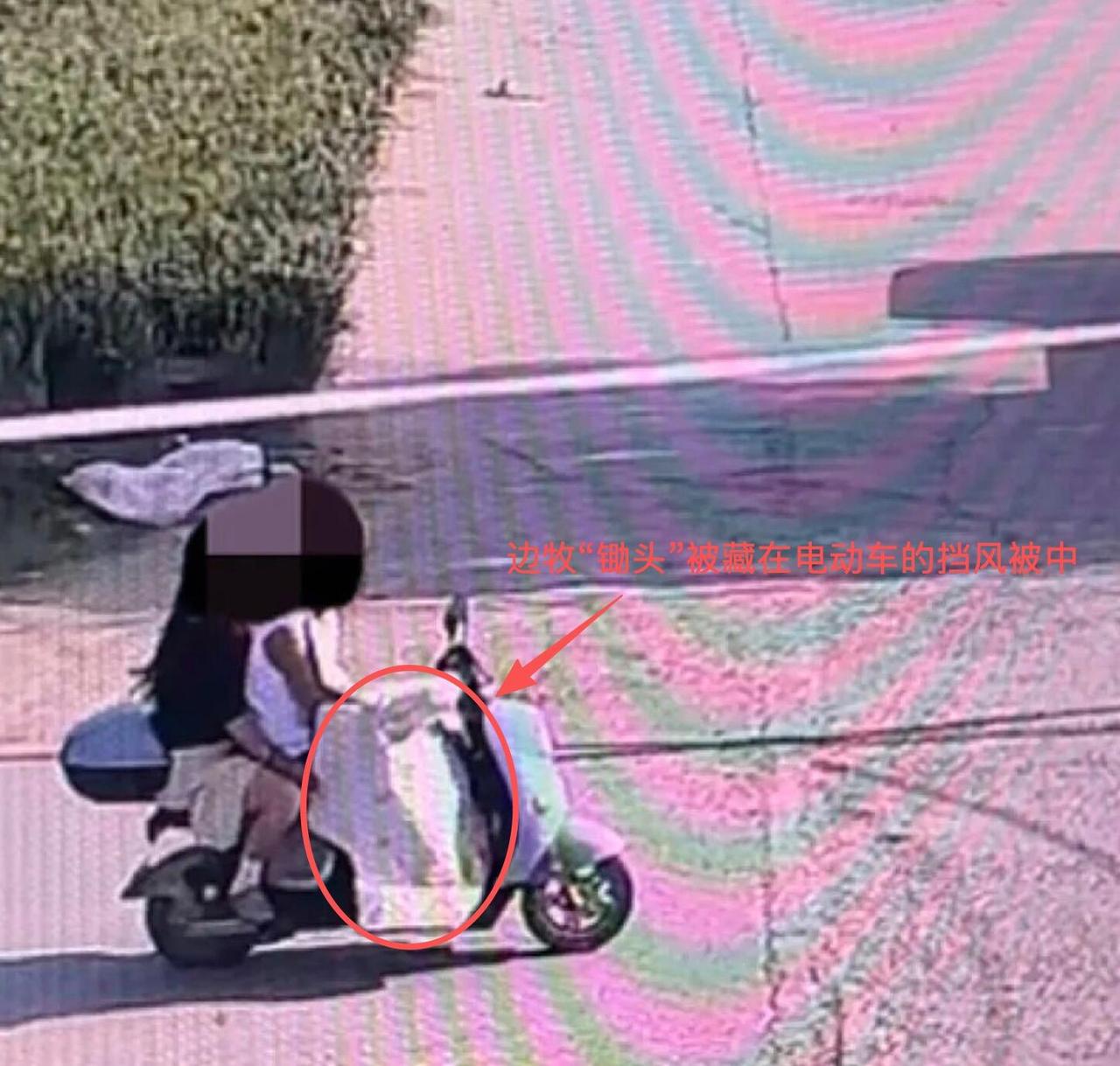 跟你说个真让人窝火的事——河南商丘那只拍过自驾vlog、攒了百万粉丝的网红边牧