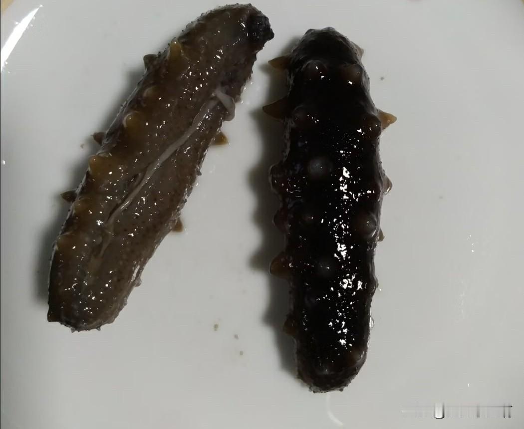 是非观！
对，是非观！
有的人真的半点是非观都没有，胡搅蛮缠。
我今天就遇到一个