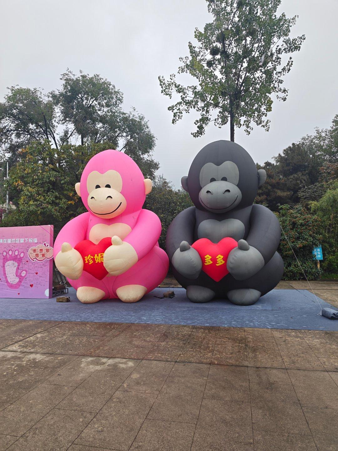 秦岭四宝大家知道是什么吗？ ​​​