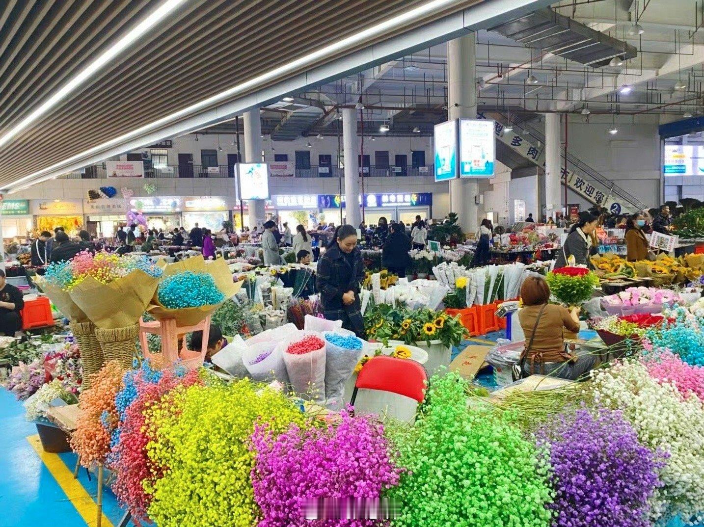 探秘自然妇女节【亚洲最大的鲜切花交易市场 昆明斗南花卉市场】云南省80%以上的鲜