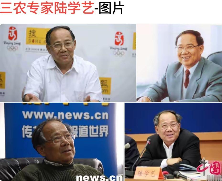 中国正宗的三农专家叫陆学艺，是北大教授。