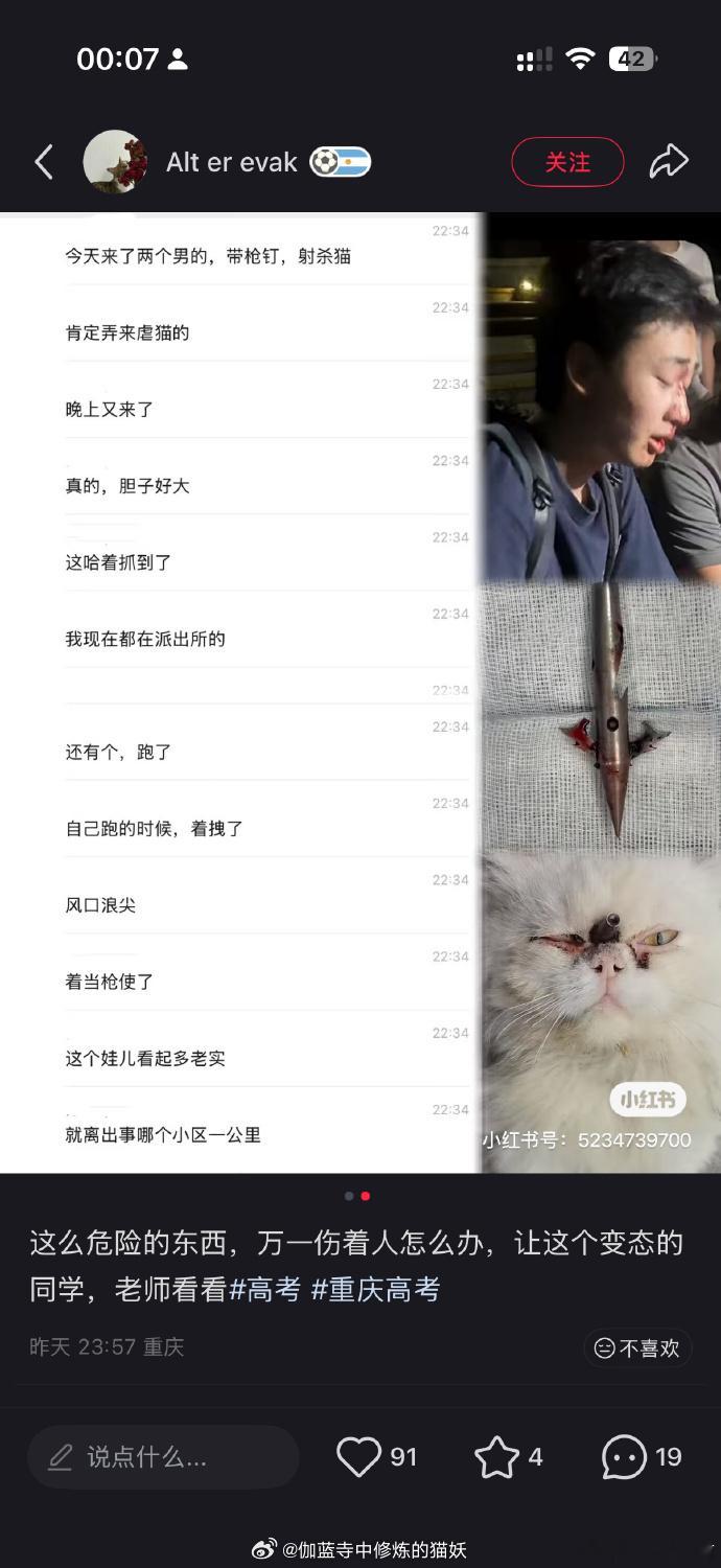 山姆打包哥已被行拘 以关爱流浪猫为由，实则是虐猫，这不就是披着羊皮的狼？ 