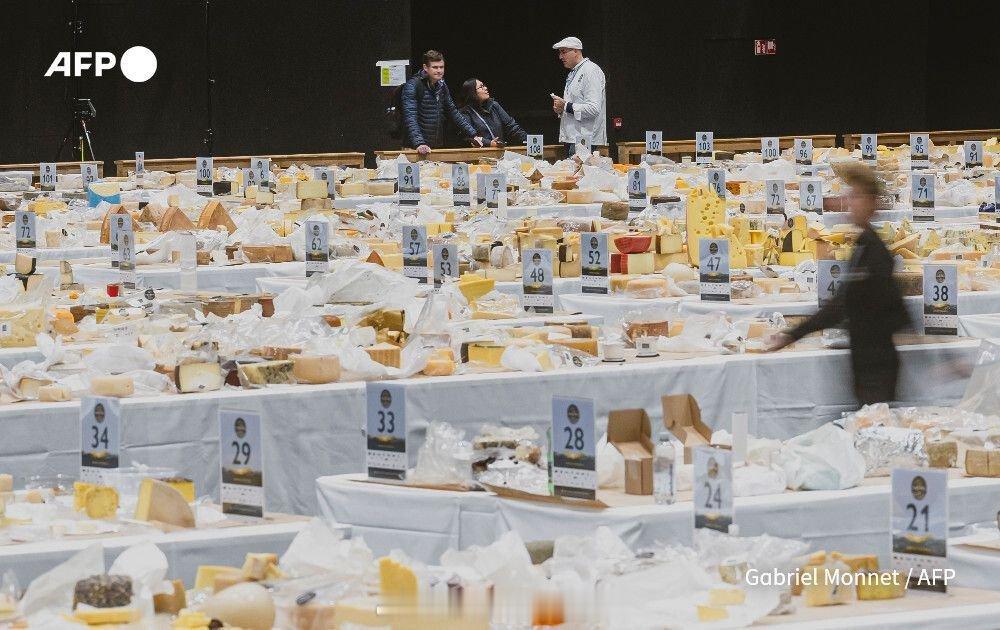 一款瑞士格吕耶尔奶酪荣获 2025 年世界奶酪冠军，从 46 个国家、超过 5,
