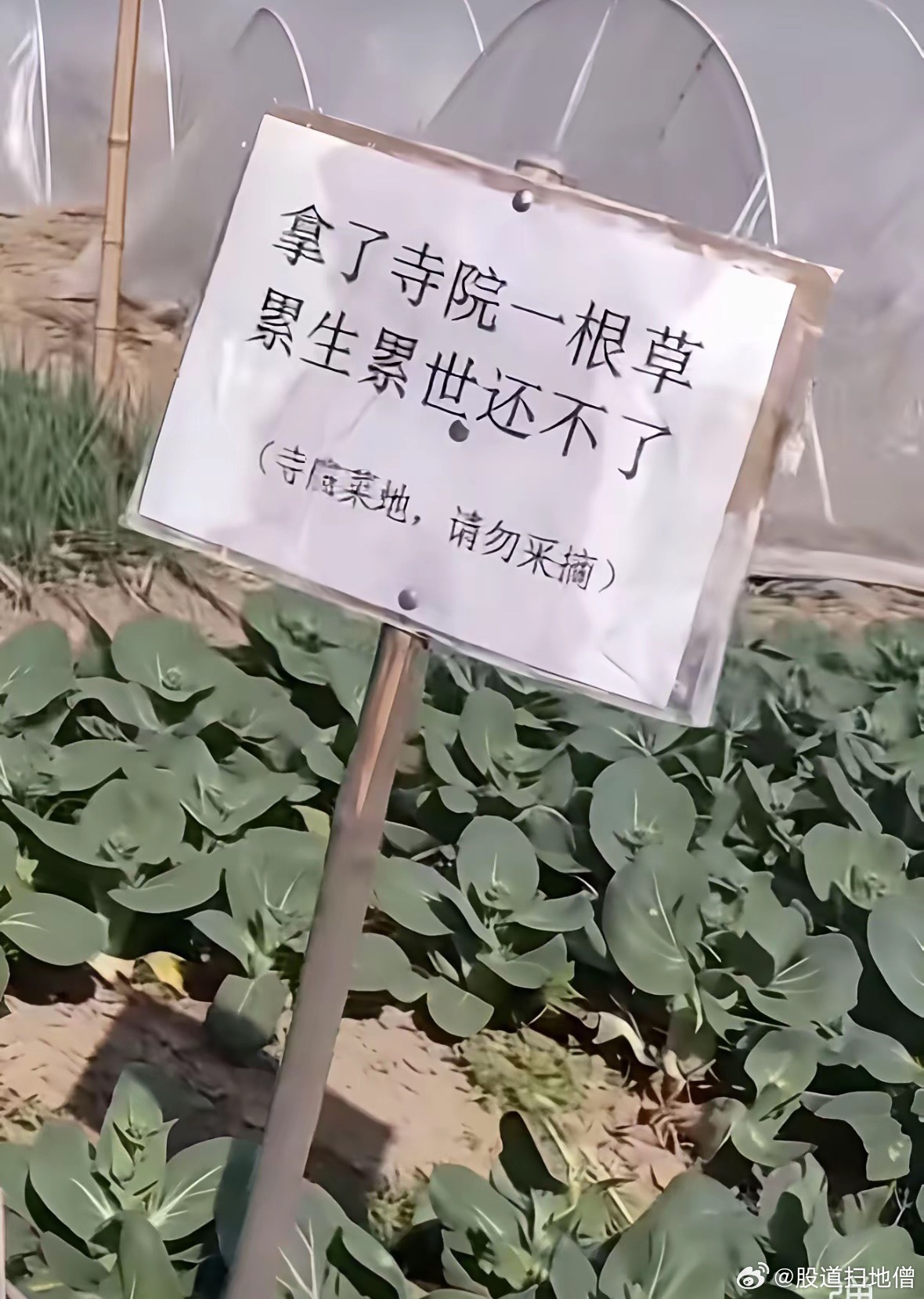 佛祖不会跟你计较，但方丈会