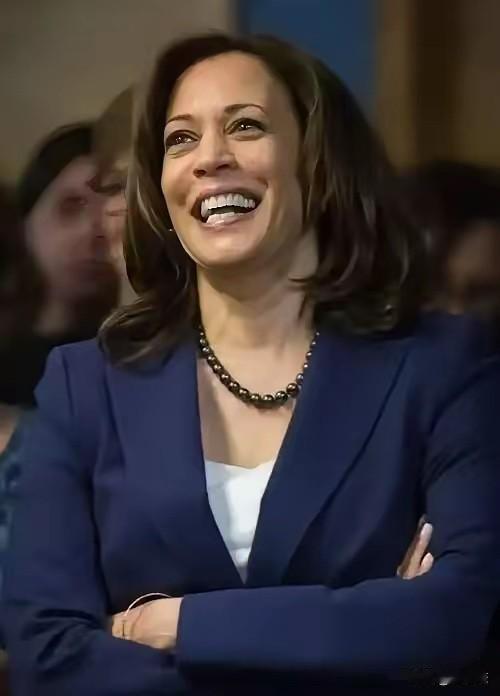 哈里斯猛料炸锅！戳穿特朗普打伊朗真相，背后藏着更大的权力棋局

4月19日，美国