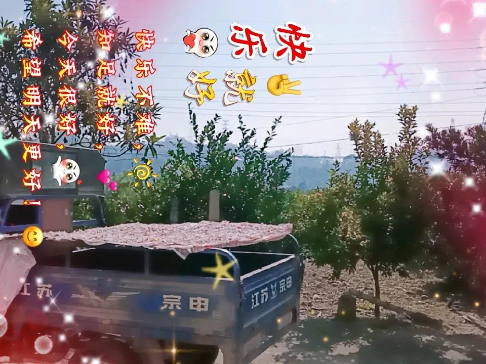 冬日生活打卡季 冬日生活简直是宝藏打卡季！
午后去公园，能捕捉到绝美的初冬丁达尔