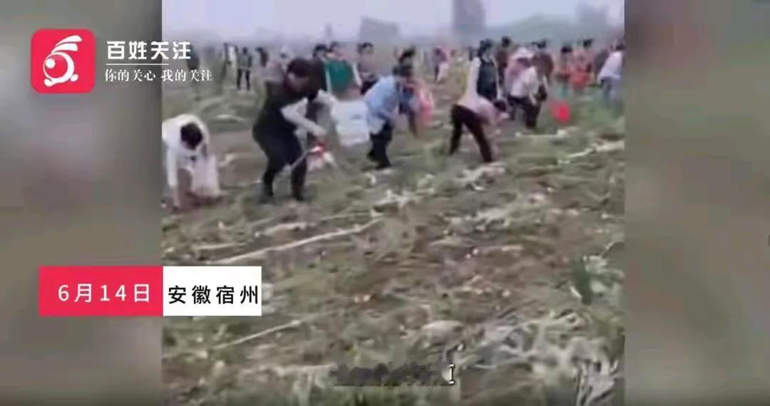 不能怕因为影响太大就要求删帖、删视频，有问题不怕，解决好问题才是挽回影响，并树立