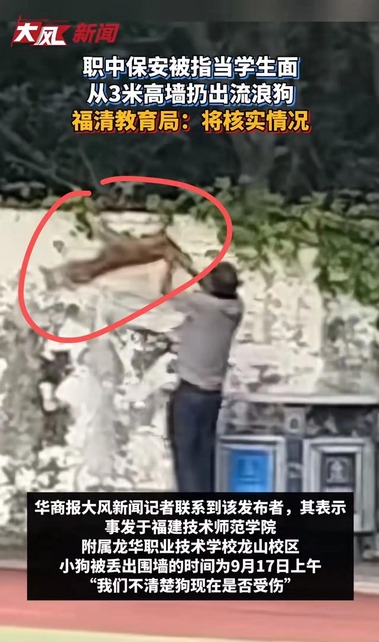 吵翻了！职中保安当着学生的面，把流浪狗从3米高的围墙扔出去，被网友指责：这个保安