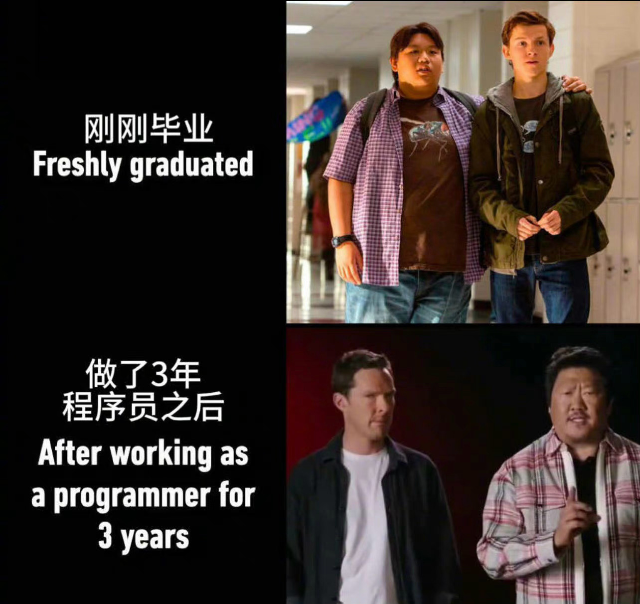 程序员是魔法师吧人说变就变了 ​​​