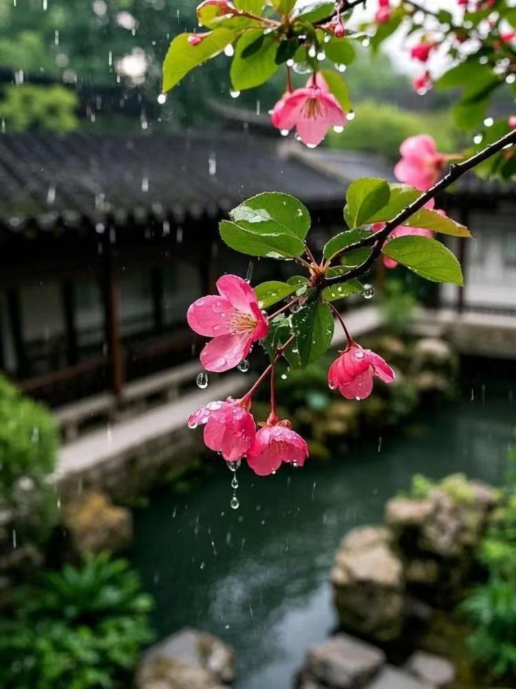 春雨——《生活浅吟》之八十二
春雨贵如油，点滴无白流。今天早上这场春雨真是好呀，