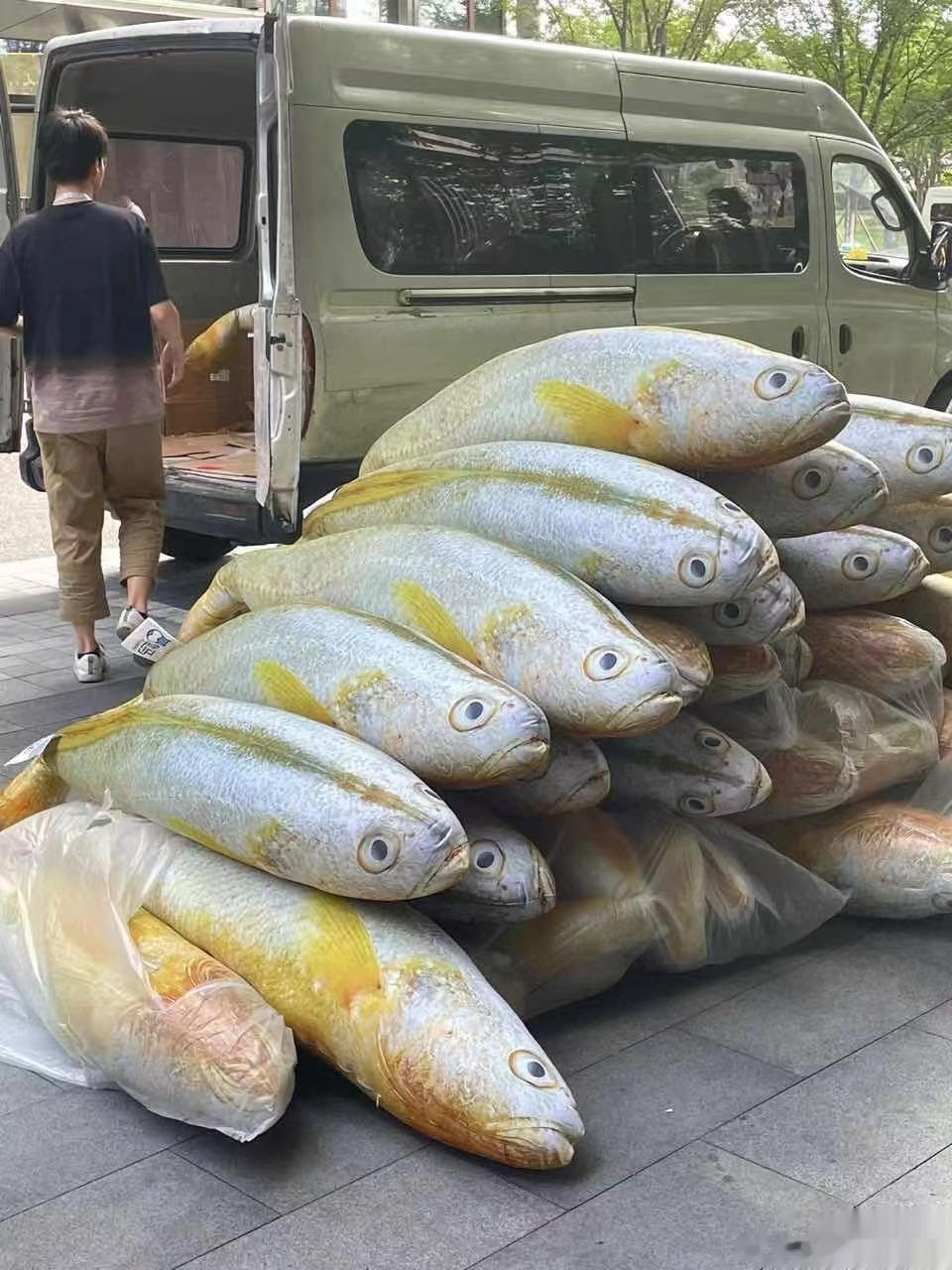 听说你在补货​​​