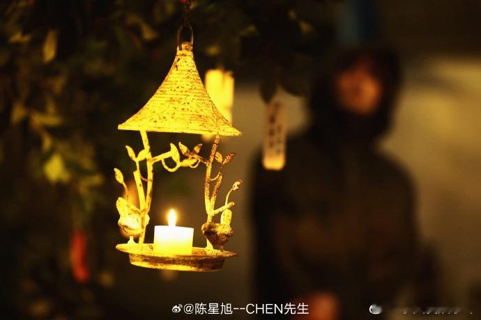 陈星旭 炎拓的孤勇打动着我炎拓的孤独与坚韧，在陈星旭的演绎下变得更加鲜活。他的每