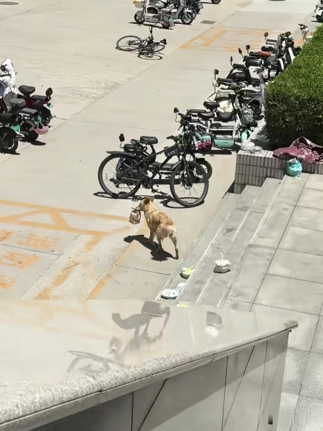 有时候外卖丢了真不能乱怪别人