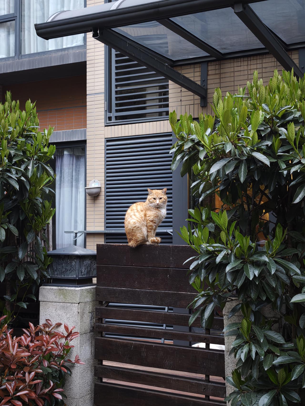 人到晚年最聪明的活法是什么? 那个言语犀利为很多人指点过迷津的张雪峰走了。
他有