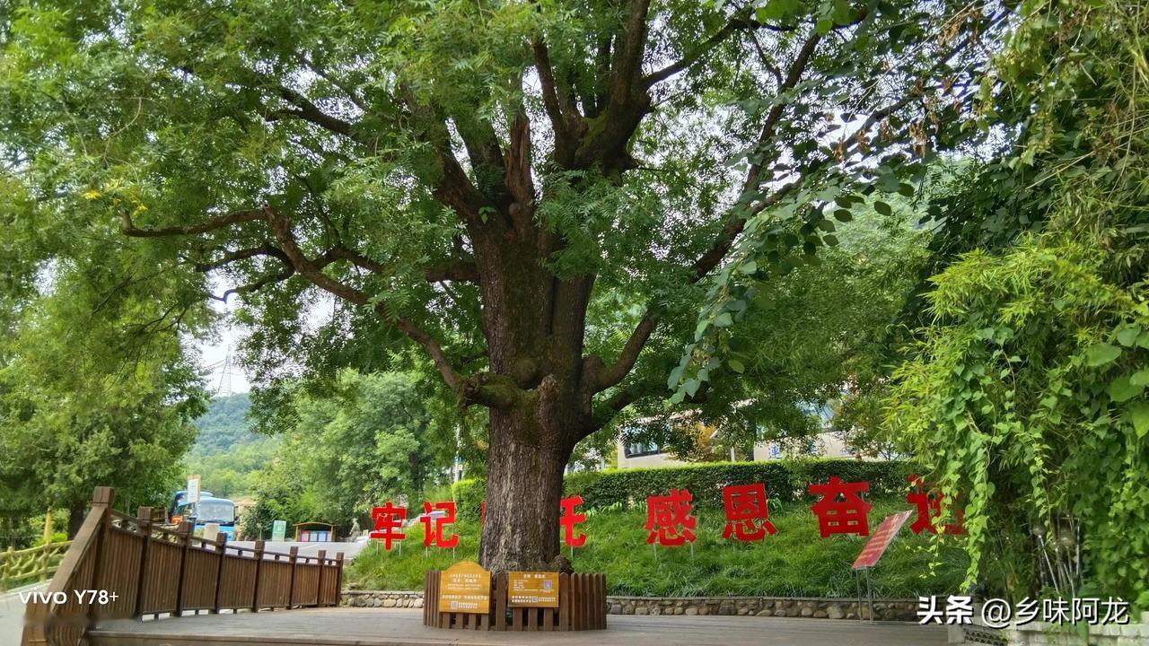#上联：风风雨雨风雨兼程、敬赐下联#
潇潇洒洒潇洒一回
